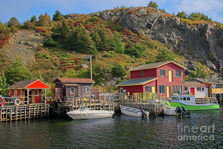 Fall Colors in Quidi Vidi Harbour, Newfoundland Photograph by Martyn Arnold
