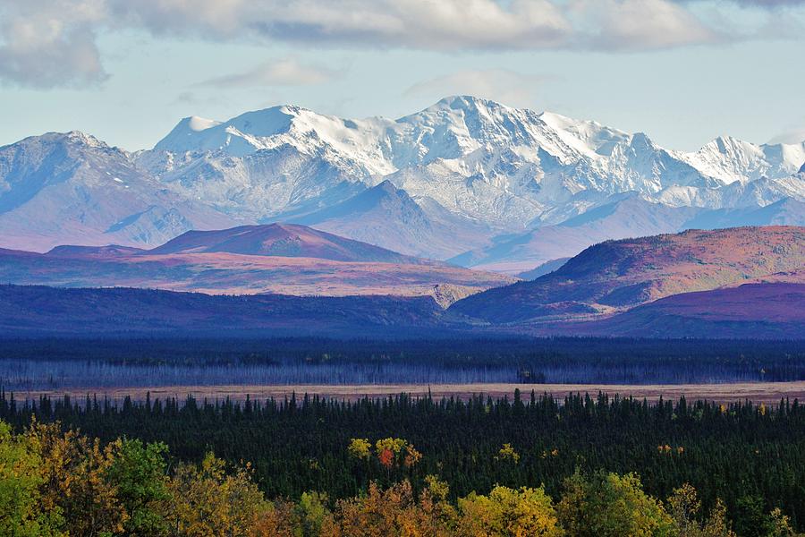 Fall Colors In The Alaska Range Photograph