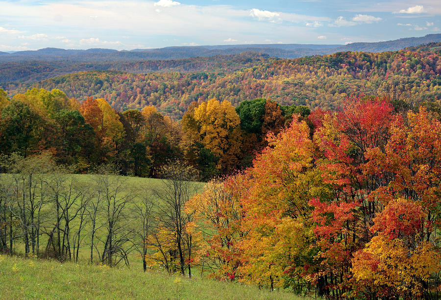 Fall colors in the mountains of West Virginia Photograph by Photography by Jessie Reeder