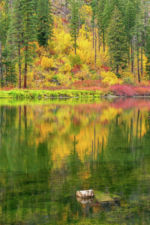 Fall colors in Tumwater Canyon Digital Art by Michael Lee