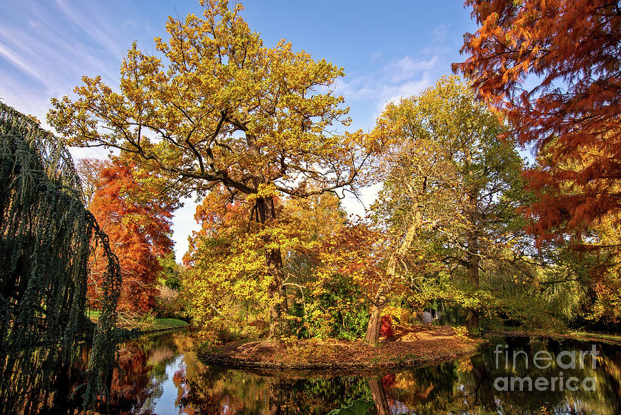 Fall colors, arboretum landscape Photograph by Delphimages Photo Creations