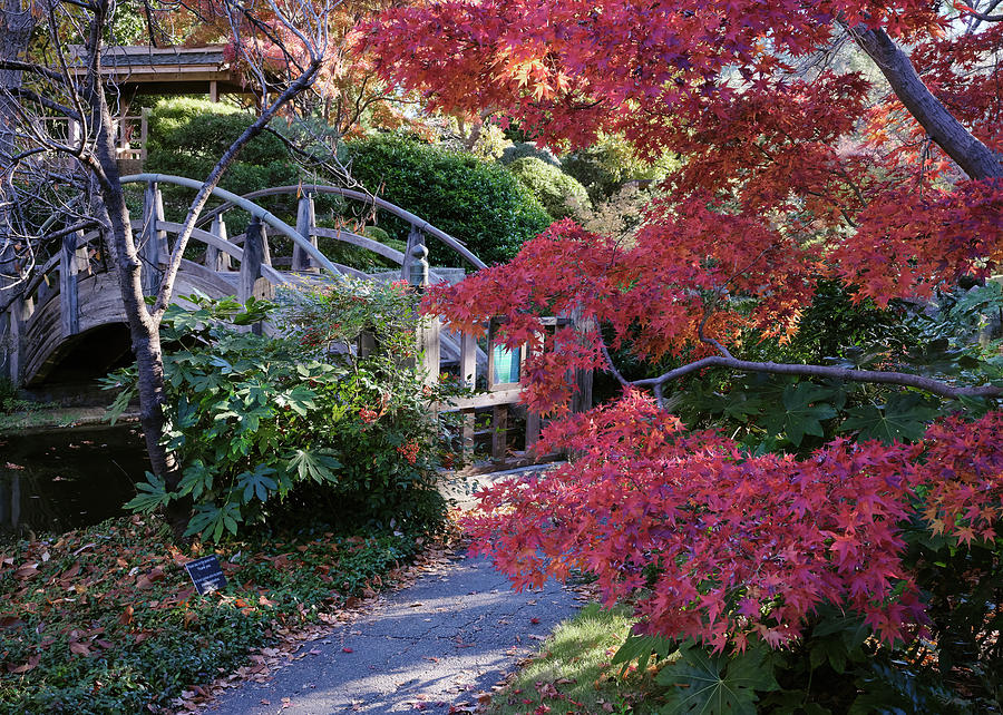 Fall Colors Japanese Garden by Rospotte Photography Fall Colors Japanese Garden by Rospotte Photography