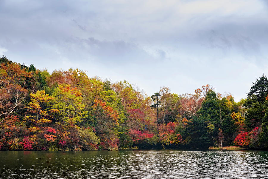 Fall Colors Photograph by Kiran Joshi