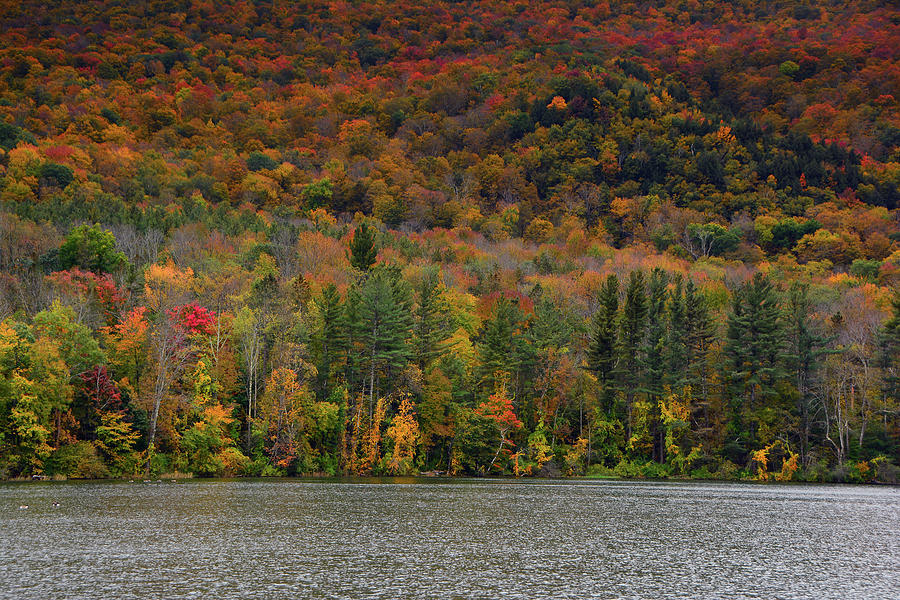 Fall Colors Massachusetts Photograph by Raymond Salani III