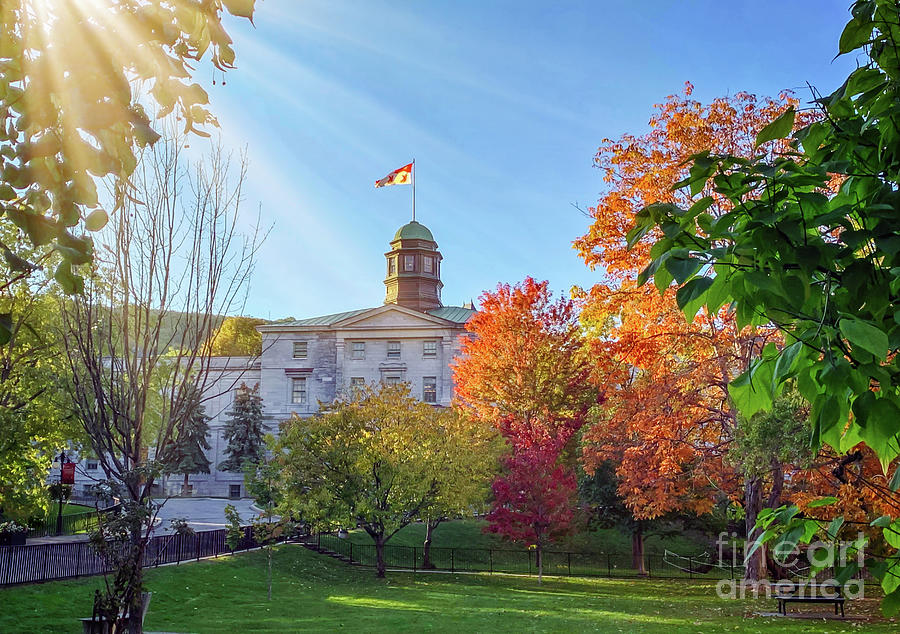 Fall colors, McGill campus in Montreal Photograph by Joshua Poggianti