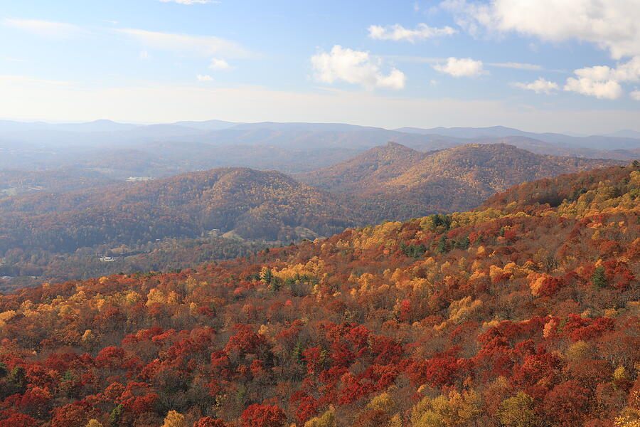 Fall Colors - North Georgia Photograph by Richard Krebs