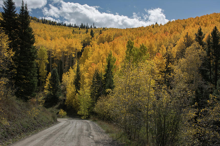 Fall Colors On Owl Creek Road Photograph by John Bartelt - Fine Art America