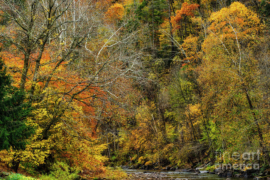 Fall Colors On The Elk River Photograph