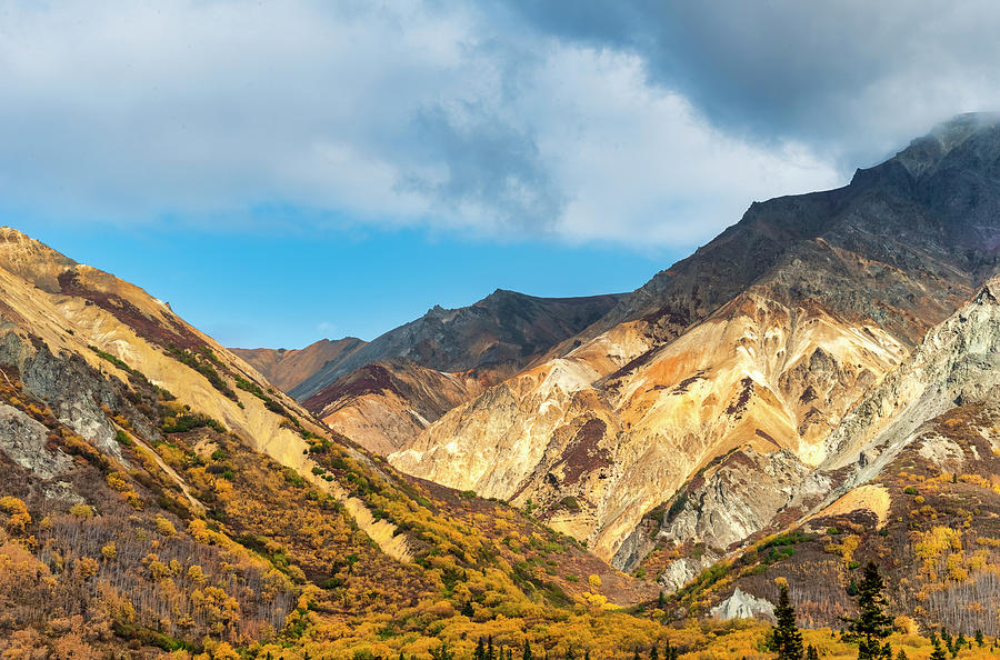 Fall Colors on the Glenn Highway Alaska USA Photograph by Doug Holck