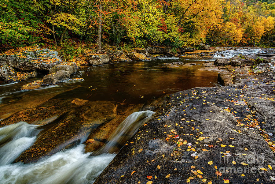 Fall Colors Peak on Williams River Photograph by Thomas R Fletcher ...