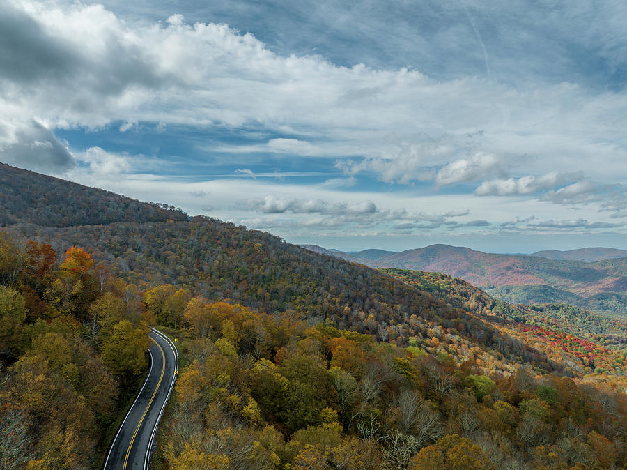 Fall Colors Roan Mountain Photograph