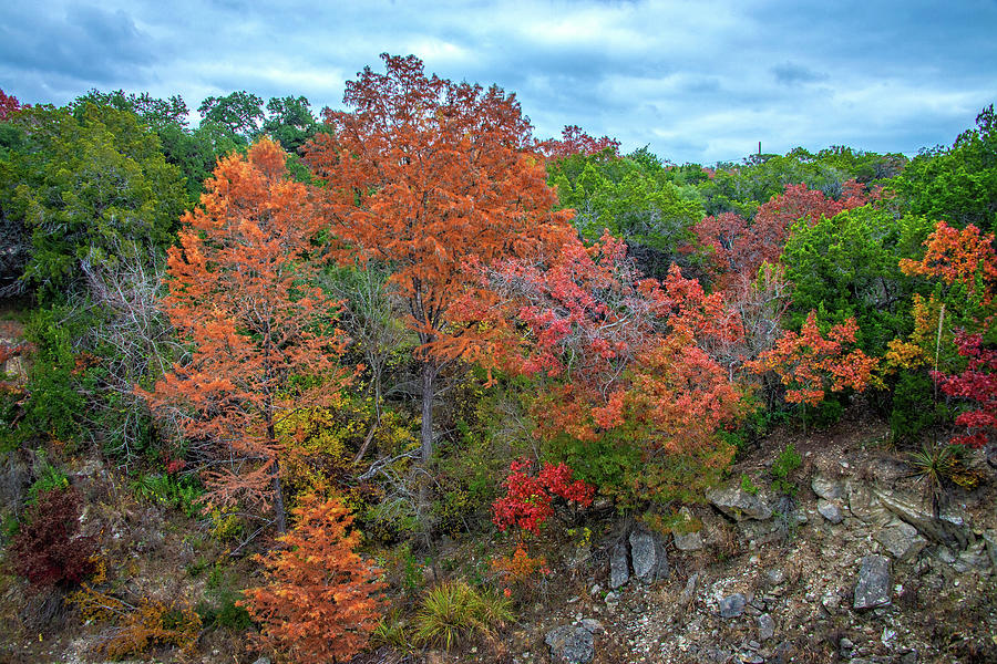 Fall Colors the Hill Counry Photograph by Lynn Bauer