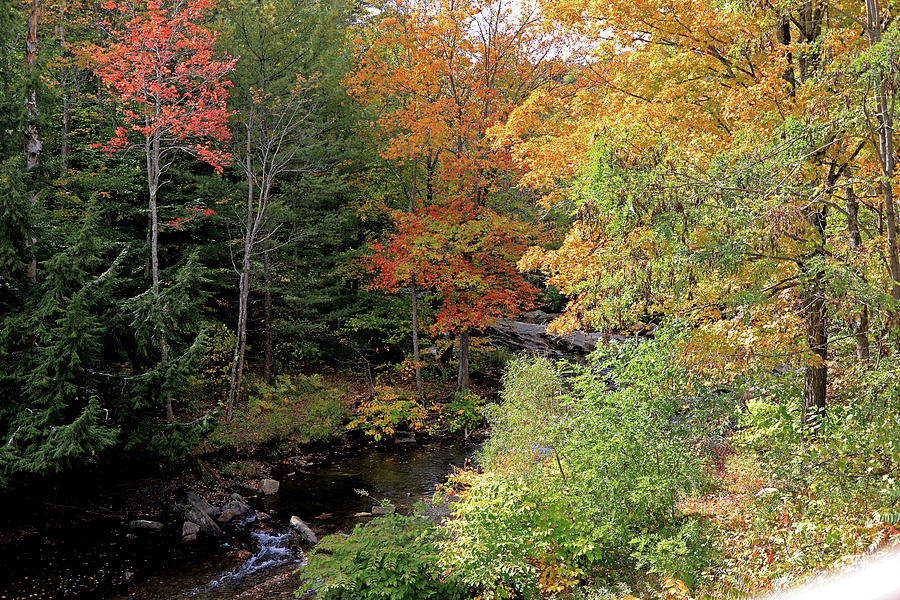 Fall Colors - Vermont Photograph by Richard Krebs