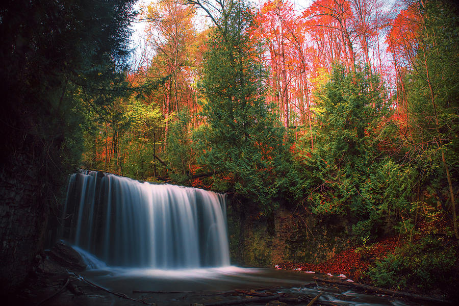 Fall colours at Hoggs Falls Photograph by Jay Smith