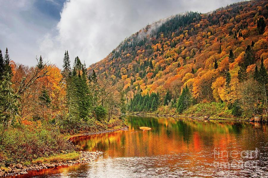 Fall Colours in Canada Photograph by Martyn Arnold