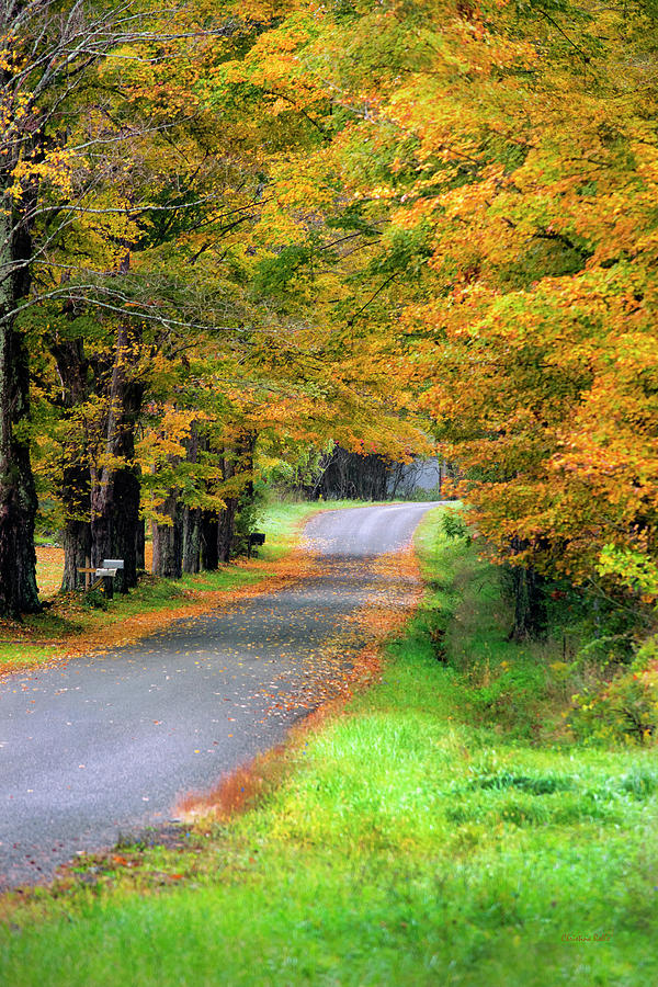 Fall Country Road Photograph by Christina Rollo