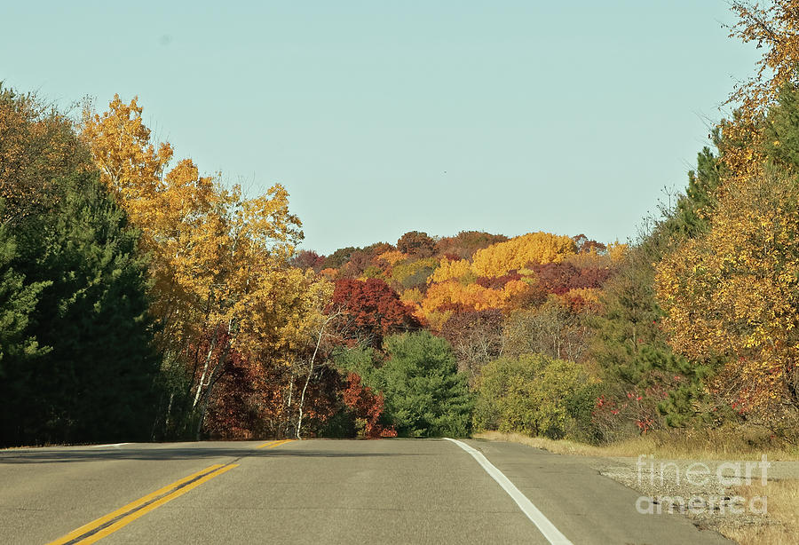 Fall Country Roads in Minnesota Photograph by Natural Focal Point Photography