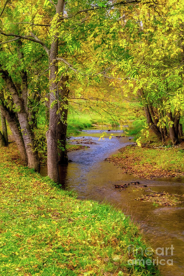 Fall Creek in Historic Sullivan County Photograph by Shelia Hunt