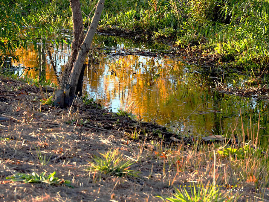 Fall Creek Reflections Photograph by Richard Thomas