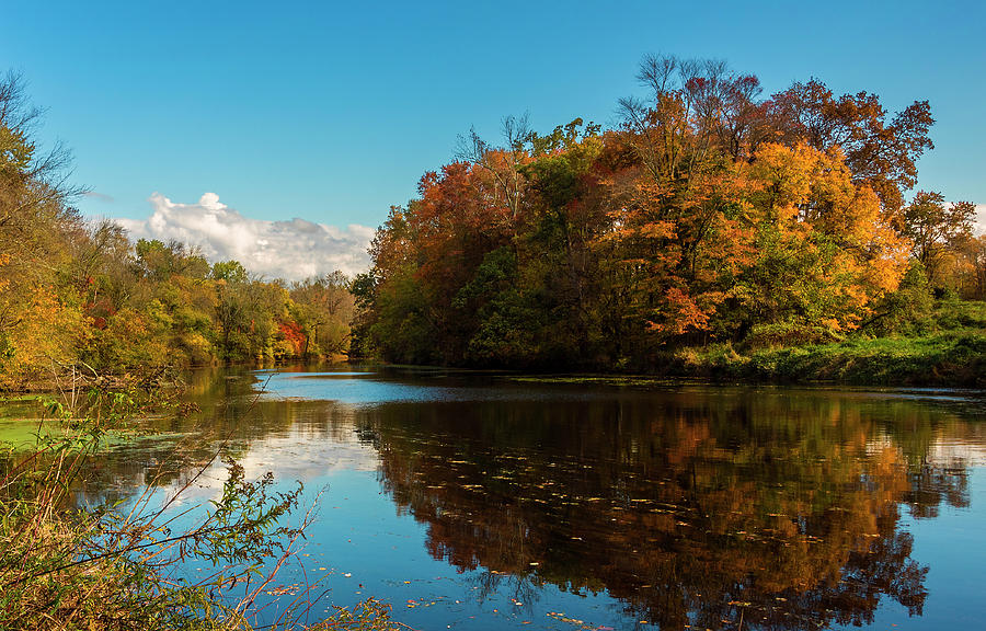 Fall Creekside Photograph by Denise Harty - Fine Art America