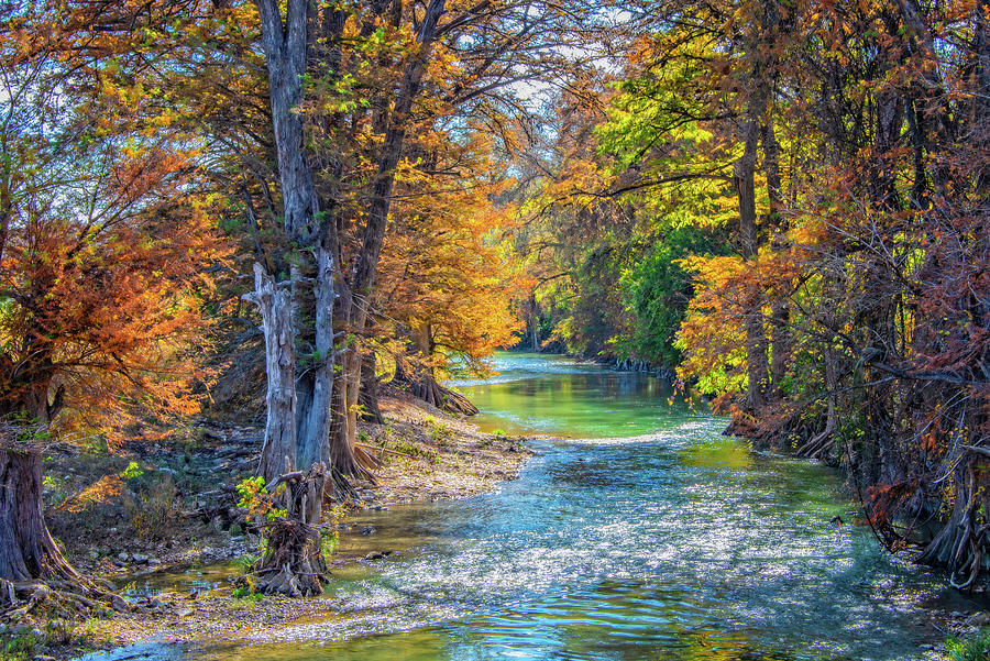 Tree Photograph - Fall Crossing on the Guadalupe by Lynn Bauer