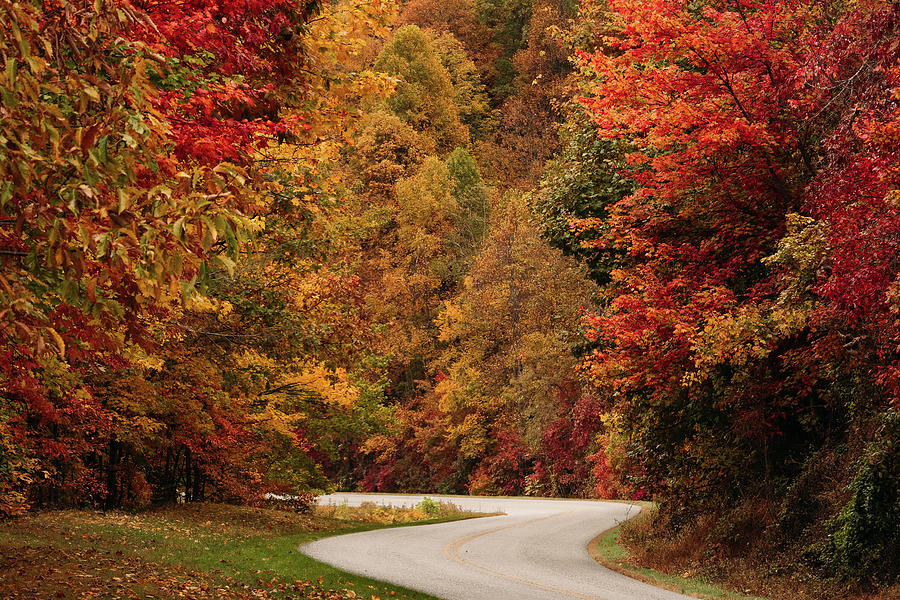 Fall Curves on the Blue Ridge Parkway Photograph by Joni Eskridge