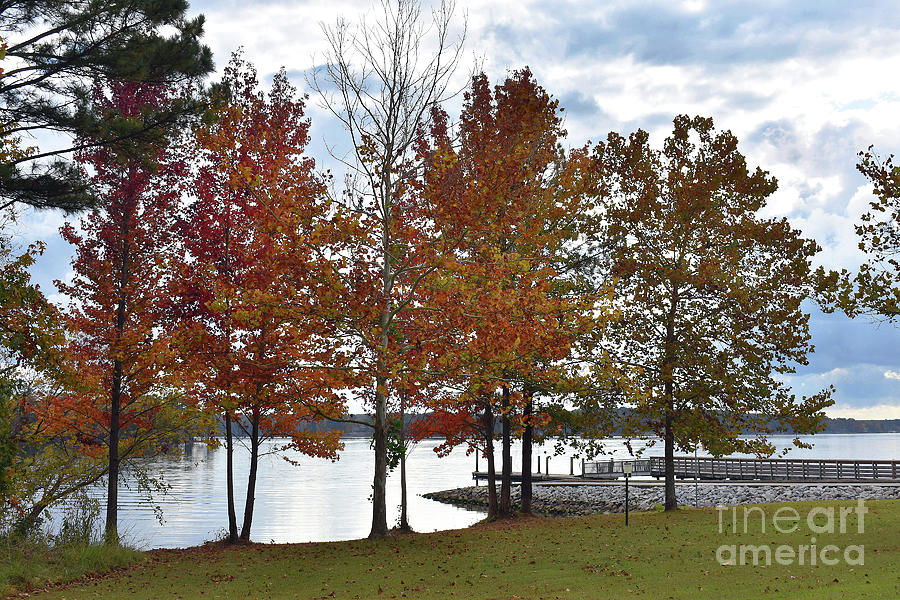 Fall Day At The Lake Photograph