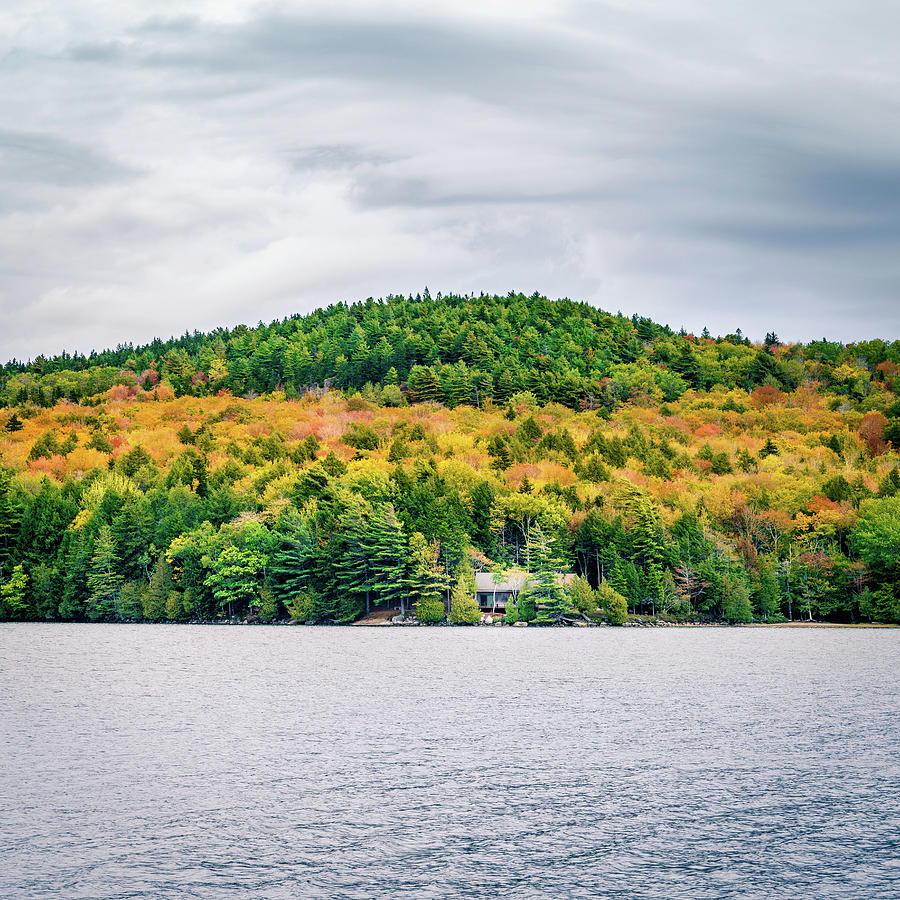 Fall day in Acadia Photograph by Alexey Stiop