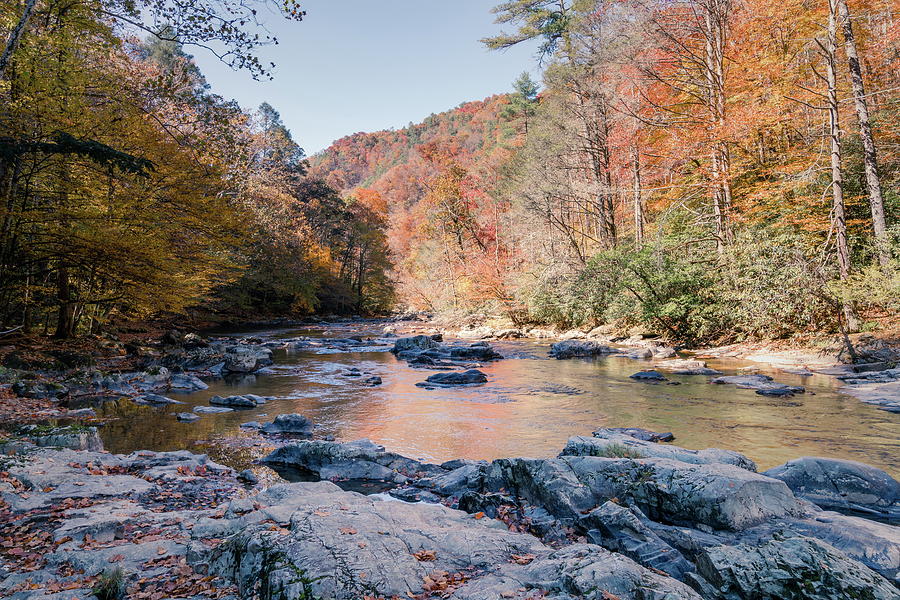 Fall day in Appalachia Photograph by Alexey Stiop