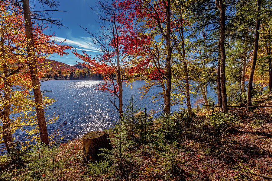 Fall Day on West Lake Photograph by David Patterson