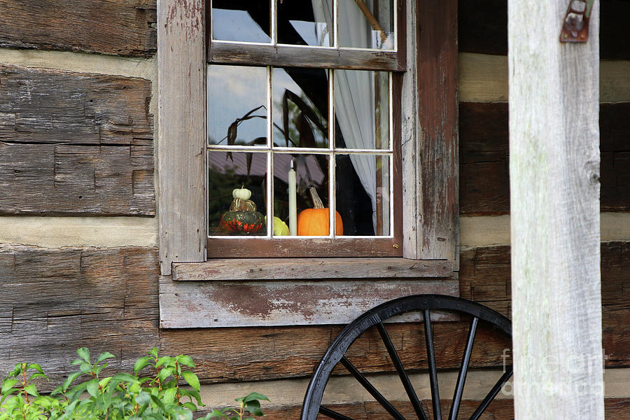 Fall Decorations in Window 0431 Photograph by Jack Schultz