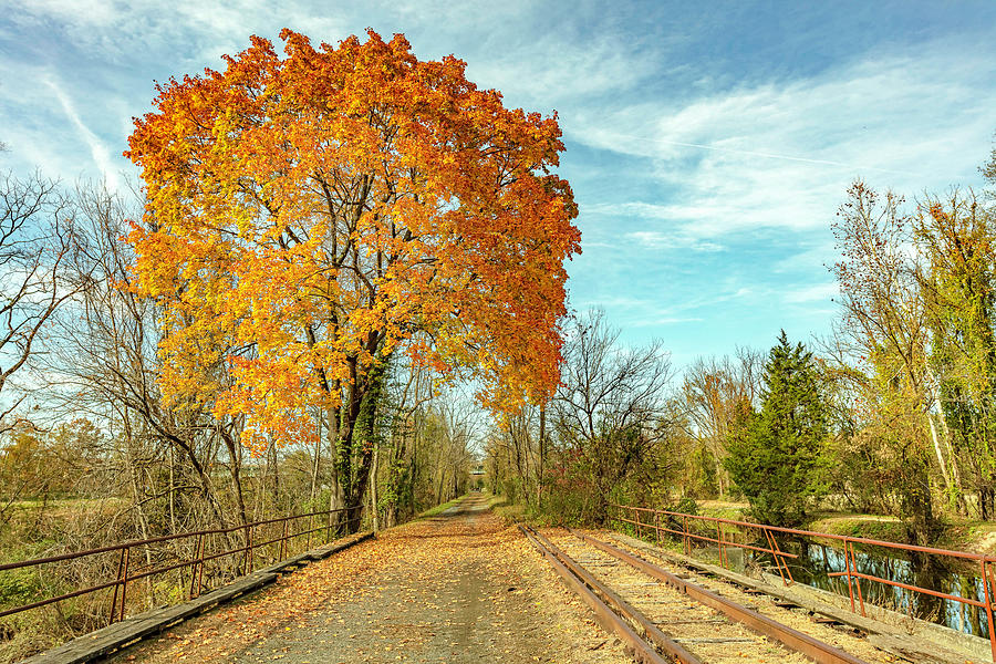 Fall Delaware Canal State Trail Photograph by Chris Spencer