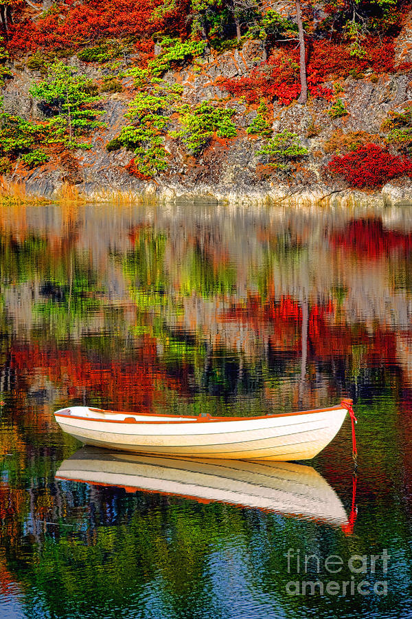 Fall Photograph - Fall Dory by Olivier Le Queinec
