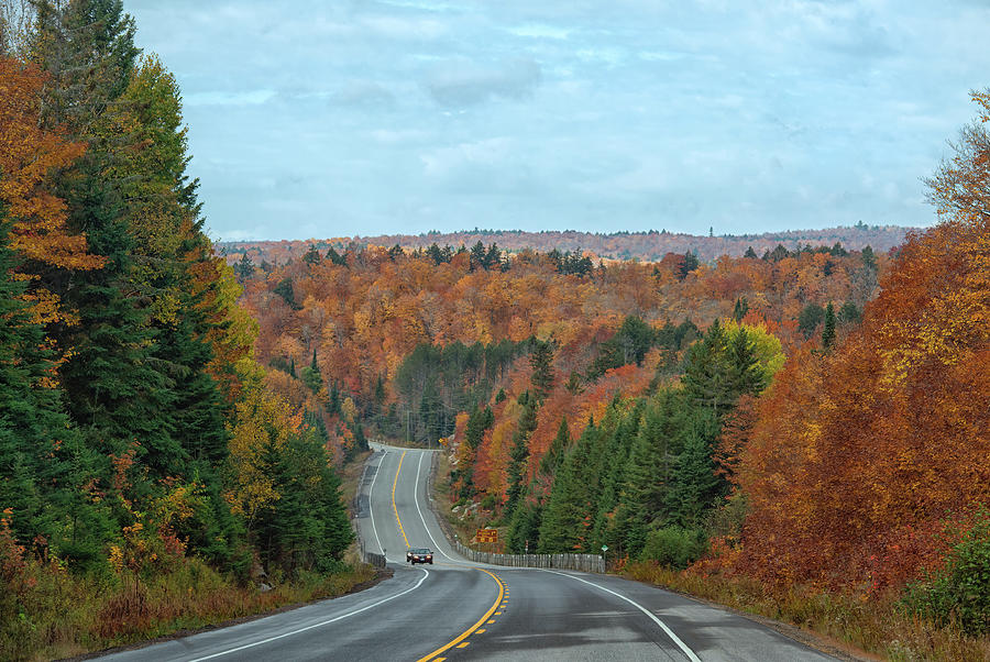 Fall Drive In Algonquin Photograph by CR Courson