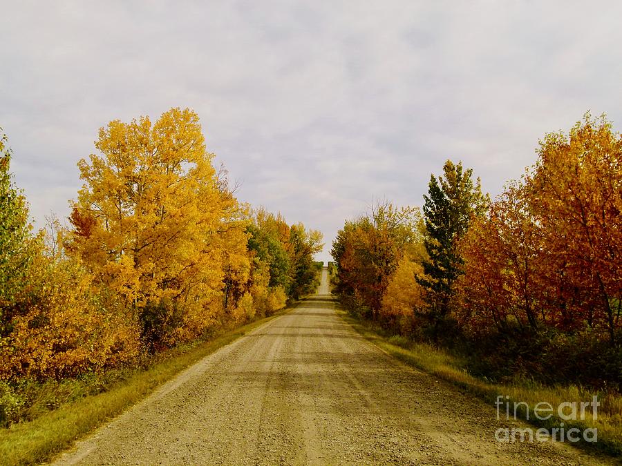 Fall Drive Vanishing Point Photograph by Jor Cop Images