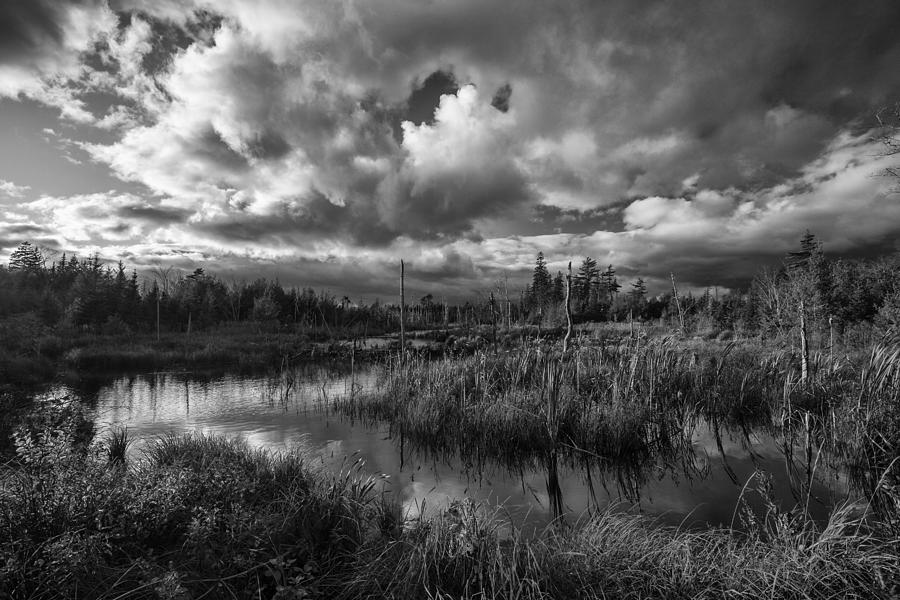 Fall Evening Pond #2 Photograph by Irwin Barrett