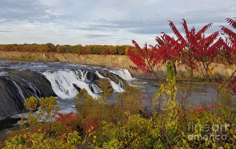 Fall Falls Cohoes Photograph by Darcy Leigh