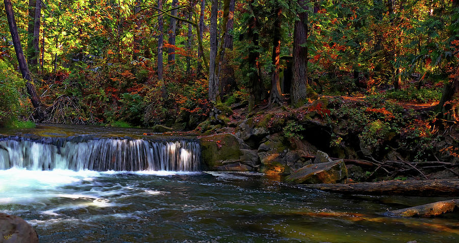 Fall Falls Photograph by Rick Lawler
