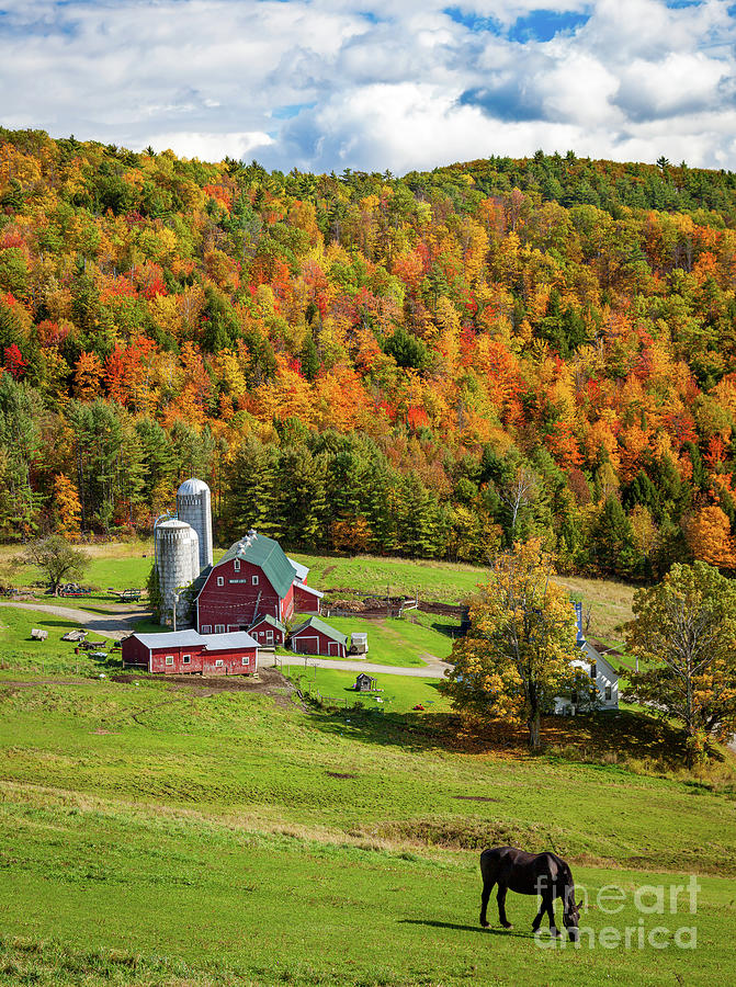 Fall Farm - Vermont Photograph by Brian Jannsen
