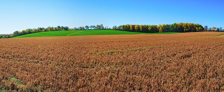 Fall Fields in Dane County, Wisconsin Photograph by Steven Ralser
