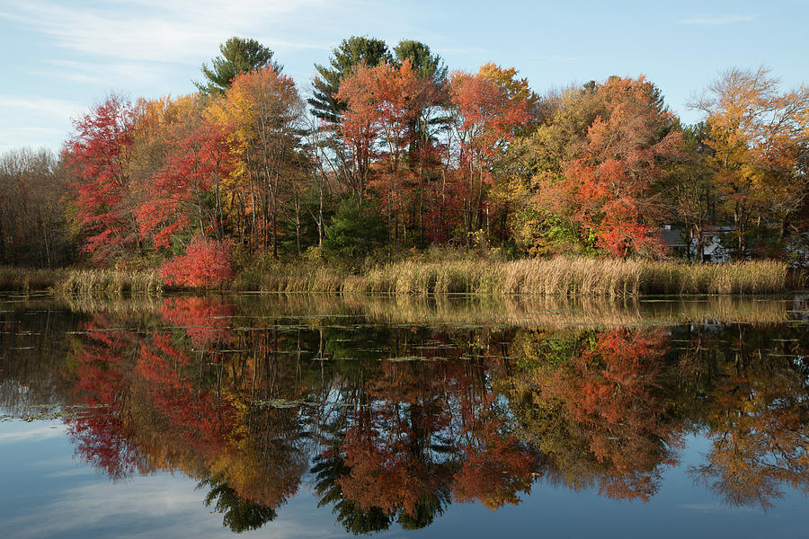 Fall Finale on the Lake Photograph by John Daly