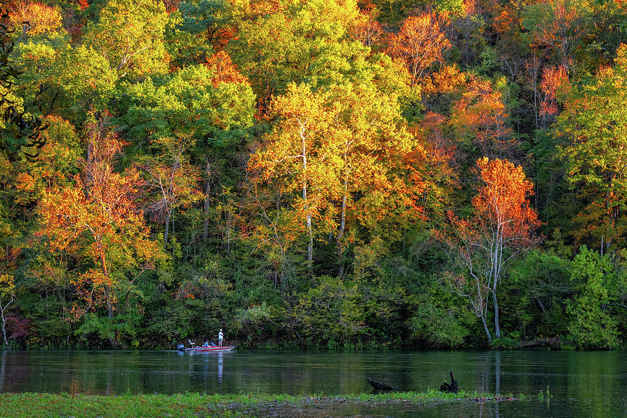 Fall Fishing Photograph by Lynn Bauer