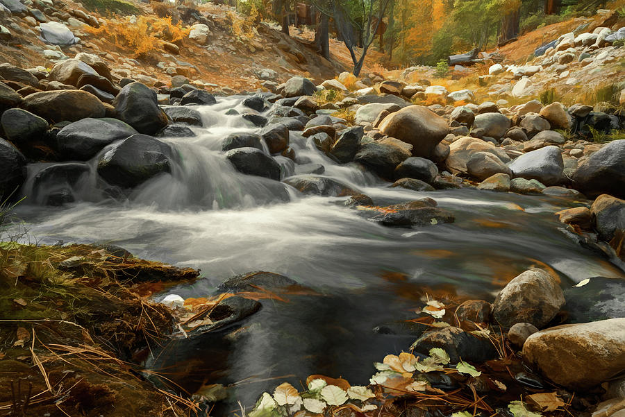 Fall Flow Photograph by Maria Coulson