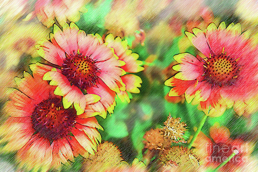 Fall Flowers Sketched Digital Art by Kirt Tisdale