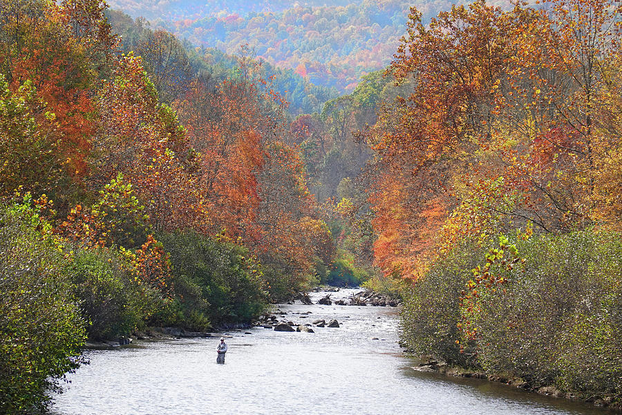 Tree Photograph - Fall Fly Fishing 2 by Mike McGlothlen