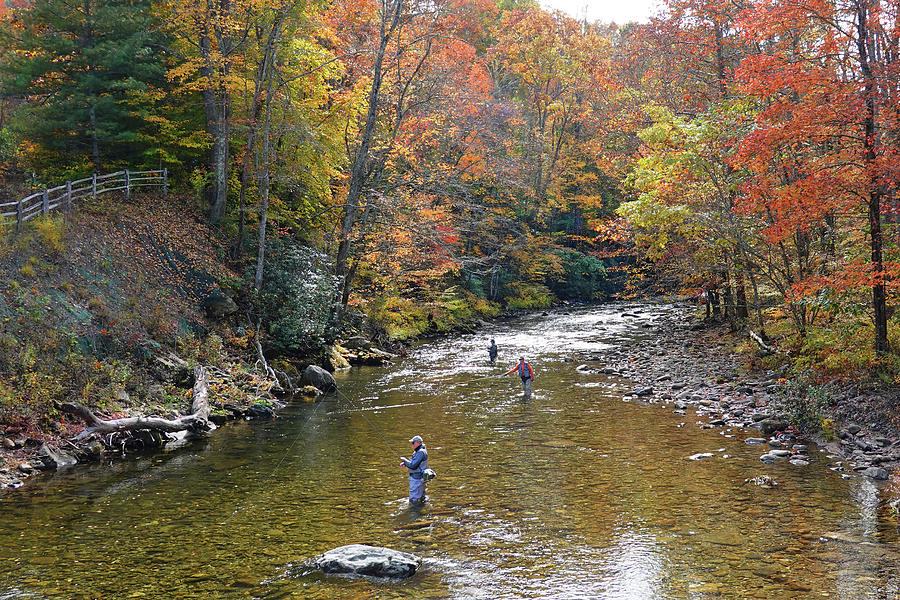 Fall Fly Fishing Photograph by Mike McGlothlen