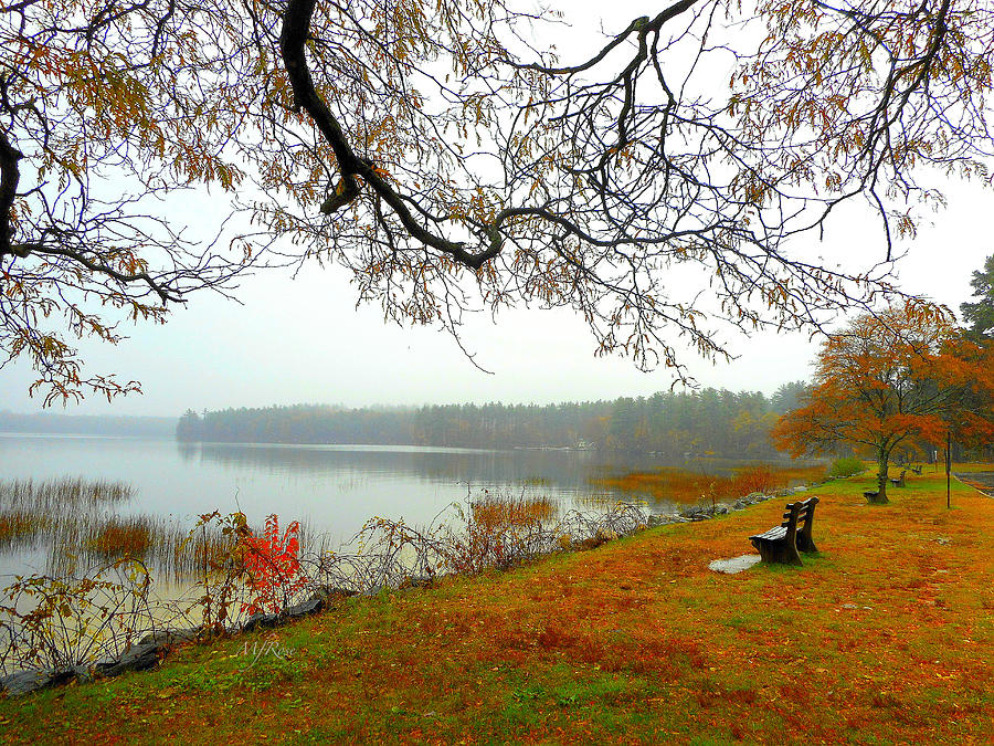 Fall fog, Lake Massabesic, NH Photograph by Maureen Rose Fine Art America