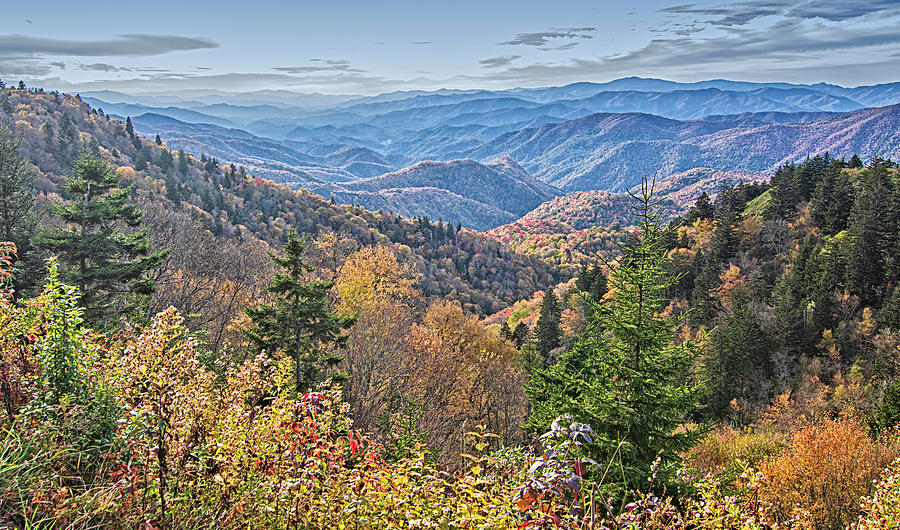 Fall Foliage Alnng the Blue Ridge Parkway Photograph by Bob Decker