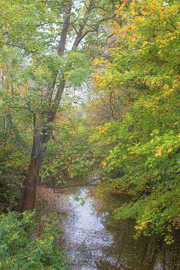 Fall Foliage Along an Indiana Creek Photograph by Bob Decker
