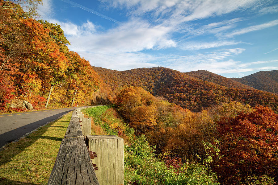 Fall Foliage along the Blue Ridge Parkway Photograph by Cindy Robinson